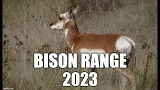 The Bison Range, 2023