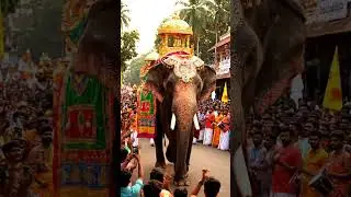✨ Mysuru Dasara 2025 | Jamboo Savari Grand Elephant Procession with Golden Howdah | Vijayadashami