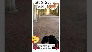 🐕&zwj;🦺Let's Go Dog Walking With My Labrador | Sunny Day Abbey Gardens Nature Dog Walk