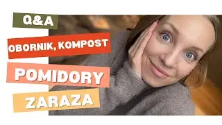 Czy odkażać szklarnie, co bym zmieniła, dlaczego nie daję pokrzywy!?