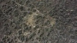 Carrizo Plains - panning up 1 (3-23, 0472)