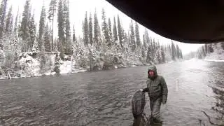 Steelhead in the snow, Farlex multiplier