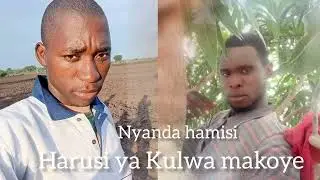 NYANDA HAMISI HARUSI YA KULWA MAKOYE