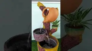 th&aacute;c nước gốc c&acirc;y