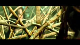 POSESION INFERNAL: EVIL DEAD - Tr&aacute;iler final en ESPA&Ntilde;OL | Sony Pictures Espa&ntilde;a