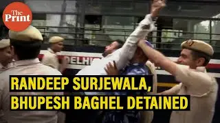 Surjewala, Baghel detained as Congress continues to protest over ED probe against Rahul Gandhi