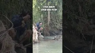 Detik detik sambaran ikan babon #mancing #fishing #float #cara #ikan