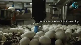 Mycionics Inc The New Standard for Robotic Mushroom Harvesting