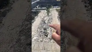 Фундамент залит, цоколь сделан.