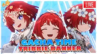 【Honkai: Star Rail】GACHA 3 in 1, Tribbie, Trianne, Trinnon !!! | Build and Test | Open Review