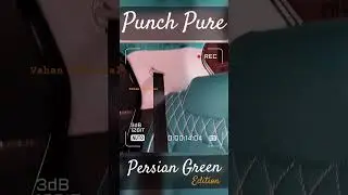 Tata Punch Persian Green Edition #punchmodification #tatapunch #punchbasetotop