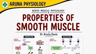 Properties of Smooth Muscle..Physiology | First year MBBS