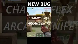 NEW Champions Flex BUG in Valorant 🤯 #valorant #valorantshorts #valorantclips #valorantbug