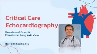 Overview and Parasternal Long Axis Critical Care Echocardiography for Emergency and Austere Medicine