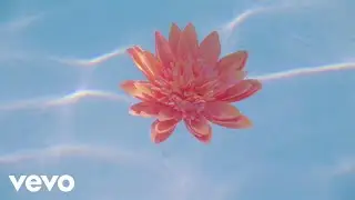 Nina Nesbitt - The Best You Had (Official Audio)