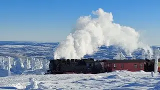 Harzer Schmalspurbahnen HSB  Stoomtrein 11.01.26 #dampflok #trainspotting Brocken #Brockenbahn