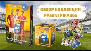 ОБЗОР КОЛЛЕКЦИИ НАКЛЕЕК Panini FIFA 365 - 2021 (альбом и 5 пакетиков)