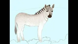 Zebra Speedpaint