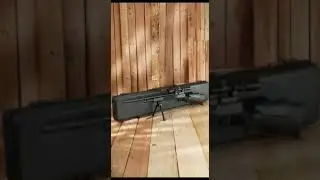 Air gun px100