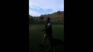 Marcelo Castro e Drigon von haus Byron - Treino Condu&ccedil;&atilde;o