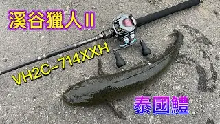 溪谷獵人2代 冬季泰國鱧(#溪谷獵人 #泰國鱧 #daiwa #ulook #buff #墾趣 #patagonia)