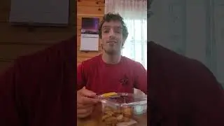 Organic Everything Bagel Chips from Schwartz Brothers review