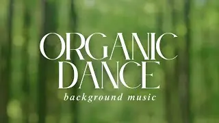 Organic Experimental Tribal Electronic Nature Background Music