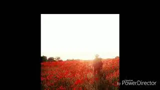 Elvis Presley Only the Strong Survive video by Paul Phillips