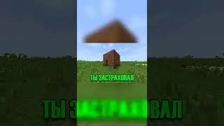 А Ты Уже ЗАСТРАХОВАЛ? #minecraft #memes #хочуврек