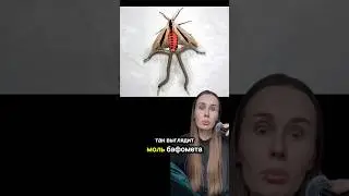 ОНА ПРИЙДЕТ К ТЕБЕ НОЧЬЮ И НЕЖНО ПОГЛАДИТ СВОИМИ ЩУПАЛЬЦАМИ