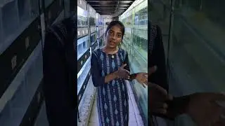 Full glass finishing aquarium tank at Madurai தமிழ் 😲