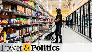 What is the government doing to address rising food prices?