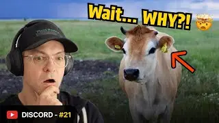 Strong VEGAN Challenges Discord People #debate