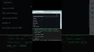 Ollama function calling  with MySQLdb