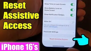 iPhone 16/16 Pro Max: How to Reset Assistive Access