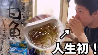 【踊り食い】人生初の白魚を食べてみた！