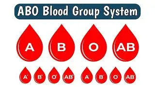 ABO Blood Group | Blood Group System | Full Procedure