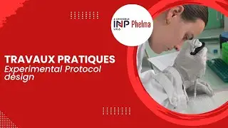 🧪 #TPenAction &ndash; Experimental Protocol Design : de la recherche &agrave; l&rsquo;exp&eacute;rimentation 🔬