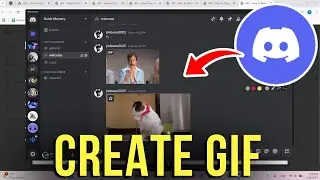 How to Create a Custom GIF for Discord Using GIPHY