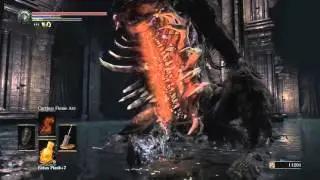 DARK SOULS&trade; 3 killing the 2 Guard Dogs - Ring of Favor