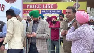 faridkot horse show 2021