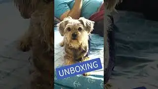 💙 UNBOXING Box Petiko💙