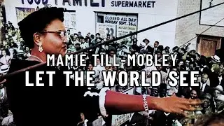 How Mamie Till Mobley SPARKED The Civil Rights Movement. (Mother of Emmett Till) #onemichistory