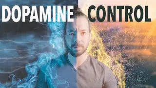 Dopamine Control For Ongoing Motivation And Focus