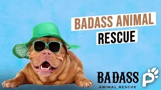 FROM Southern States to New York | Badass Animal Rescue | Pawareness Podcast No. 75