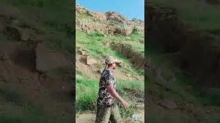 slowmo | HADI A TO Z | #hadiatoz #travel #fish #streetfood