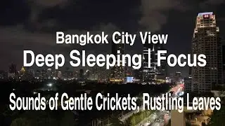 for Deep Sleep, Sounds of Crickets, Leaves, ASMR, Bangkok City Park