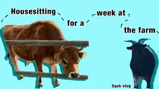 Housesitting for a week at the farm | Sqek Vlog