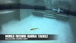 Killalure Barra Bait