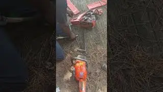 yar tree jobs Atlanta Georgia